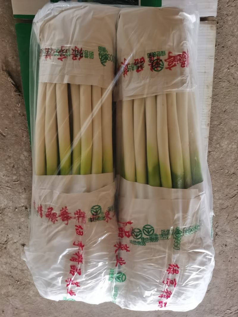 铁杆大葱，精品加工，长年代收毛葱，随时发货，全国大葱主产