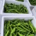 螺丝椒大量上市、质量保证、支持各种包装欢迎采购11111