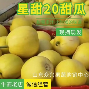 【货源充足】山东费县甜瓜绿宝石诚信第一合作共赢宁
