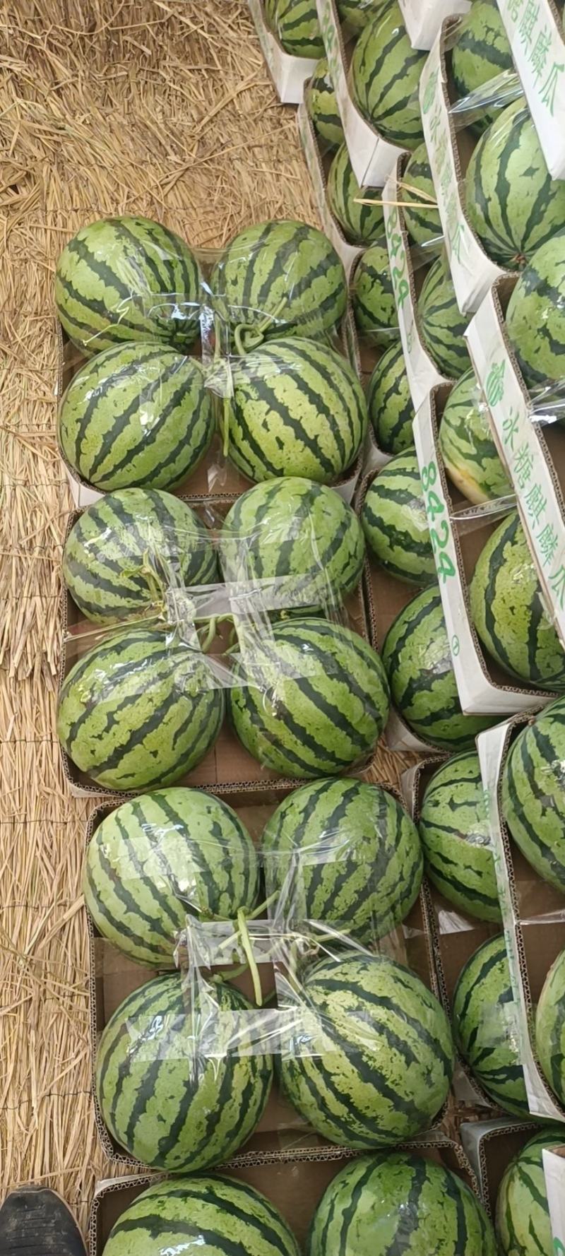 安徽美都西瓜万亩基地直供皮薄品质保证包熟包甜