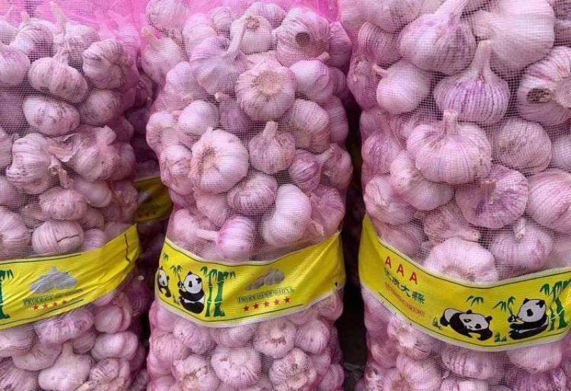 河南大蒜精品紫皮大蒜，河南紫皮蒜基地直供价格便宜