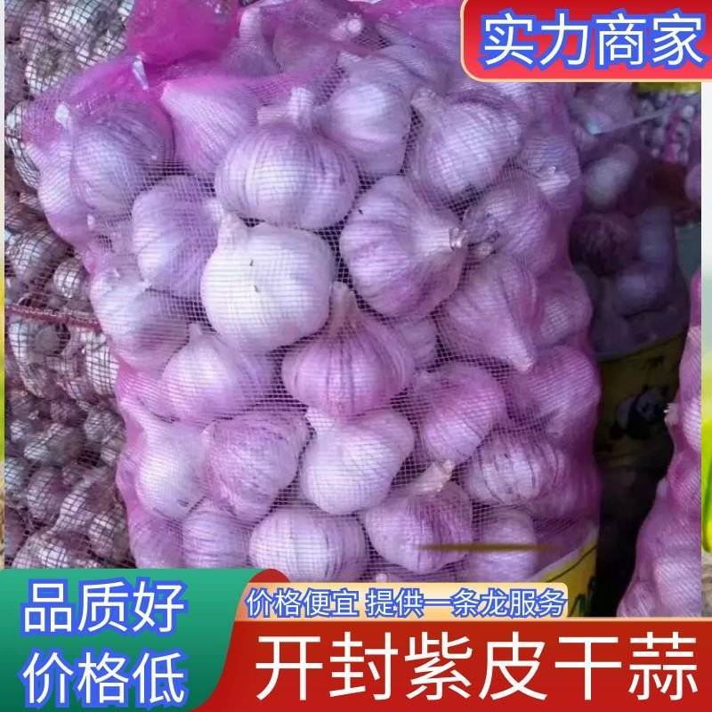 【实力商家】紫皮大蒜，干蒜，冷库蒜，五点以上，价格便宜