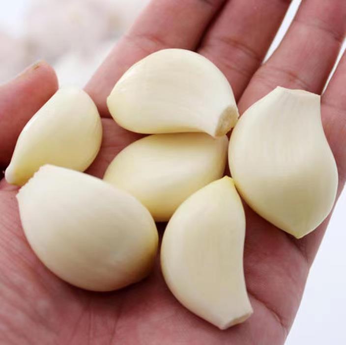 紫皮大蒜泡醋成品展示