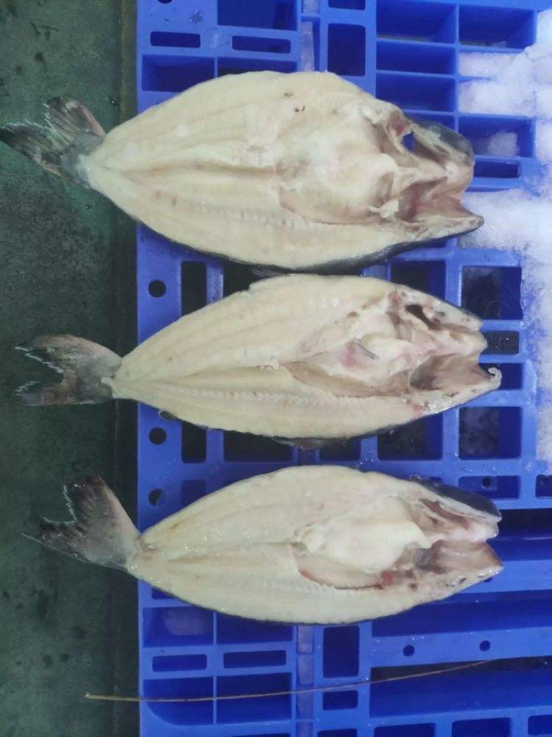 巴沙鱼开背鱼，烤鱼专用，肉质鲜美细腻，无鱼刺