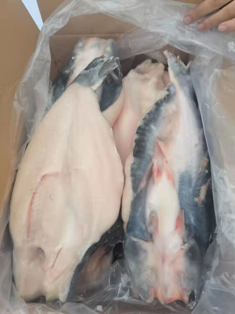 巴沙鱼开背鱼，烤鱼专用，肉质鲜美细腻，无鱼刺
