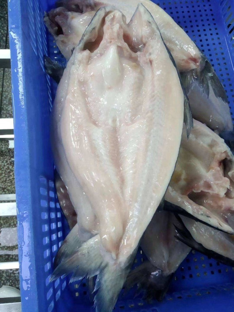 巴沙鱼开背鱼，烤鱼专用，肉质鲜美细腻，无鱼刺