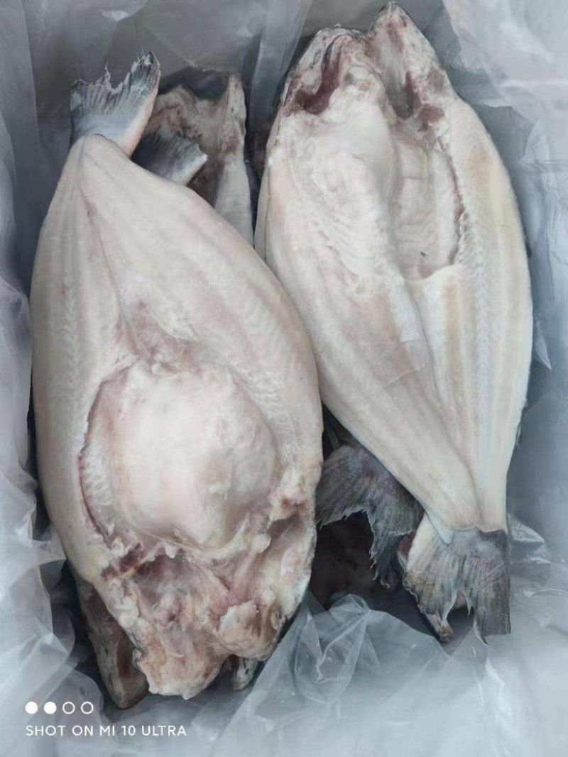 巴沙鱼开背鱼，烤鱼专用，肉质鲜美细腻，无鱼刺
