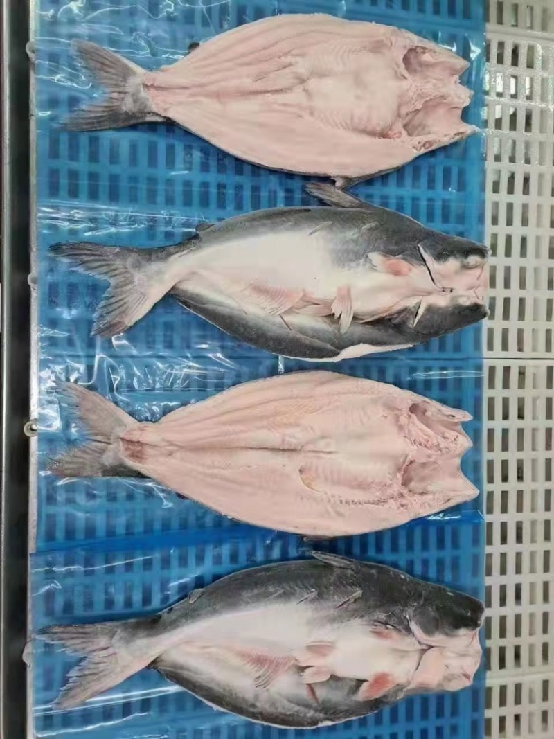 巴沙鱼开背鱼，烤鱼专用，肉质鲜美细腻，无鱼刺