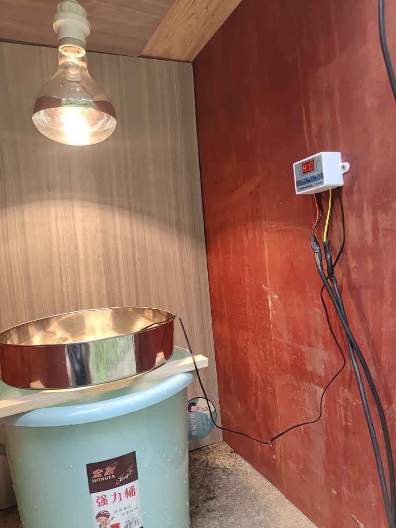 （热销）取蜜用具了滤蜜用具自动控温微电脑自动控温器全套