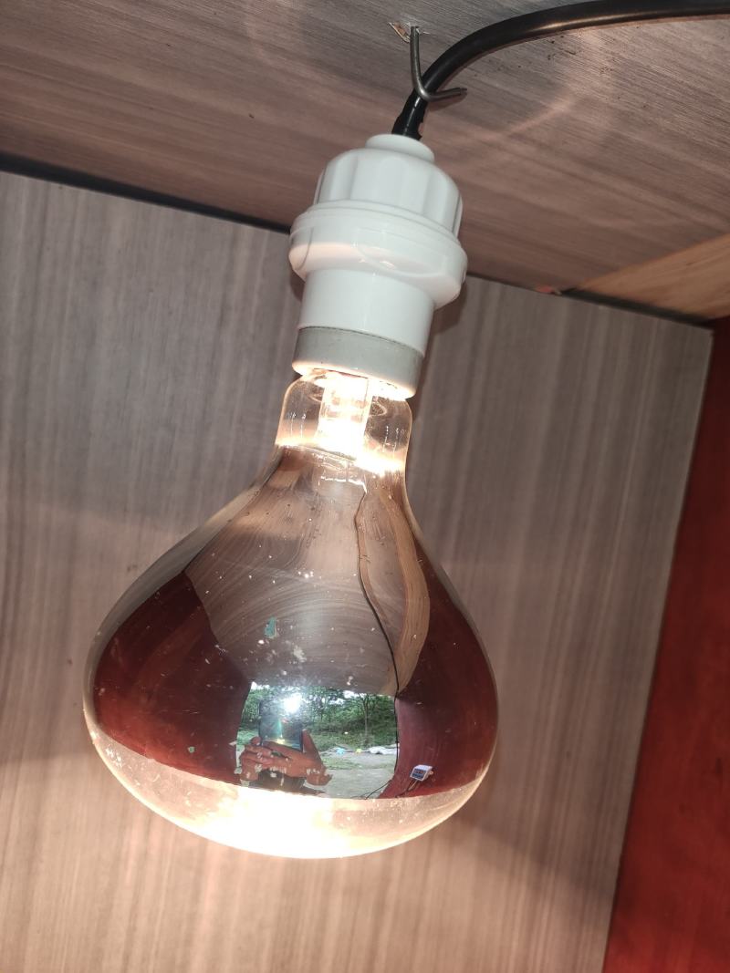 （热销）取蜜用具了滤蜜用具自动控温微电脑自动控温器全套