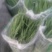 河北昌黎精品小葱大量供应中欢迎各地客商前来收购