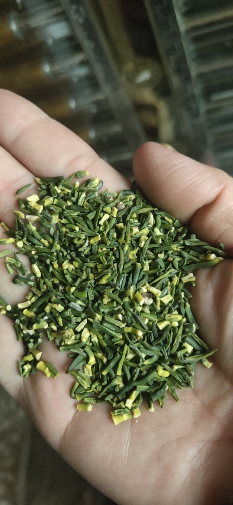 莲子手工莲子心边莲子心一根根的颜色漂亮，机器开边莲子心