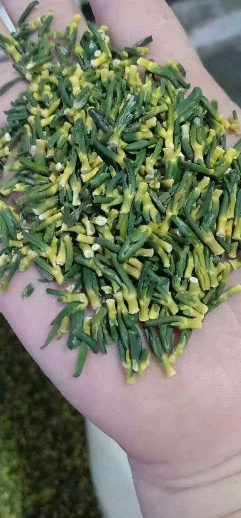莲子手工莲子心边莲子心一根根的颜色漂亮，机器开边莲子心