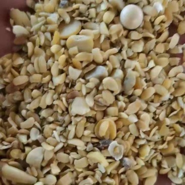 碎大豆，豆掰，大豆，上地肥料豆，养殖饲料豆，榨油压饼豆，