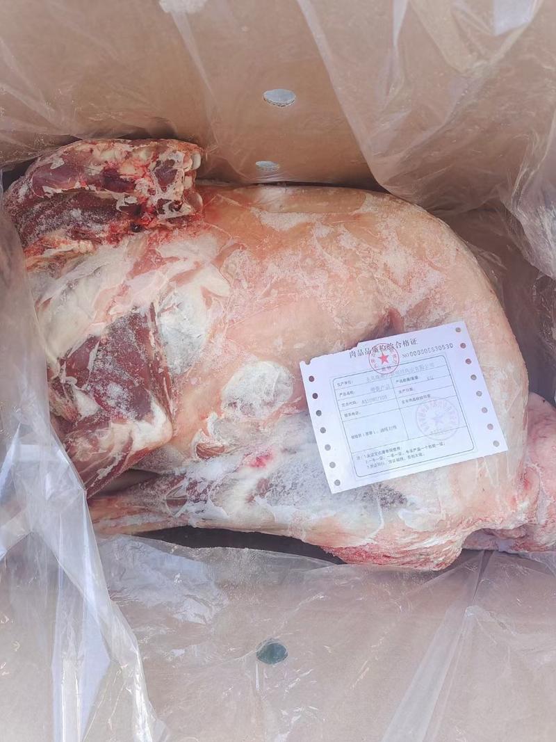 内蒙古锡林郭勒草地绵羊烤全羊，5至18公斤，肉质鲜嫩。