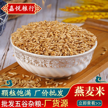燕麦米现货供应莜麦五谷杂粮生燕麦仁量大优惠袋装49斤