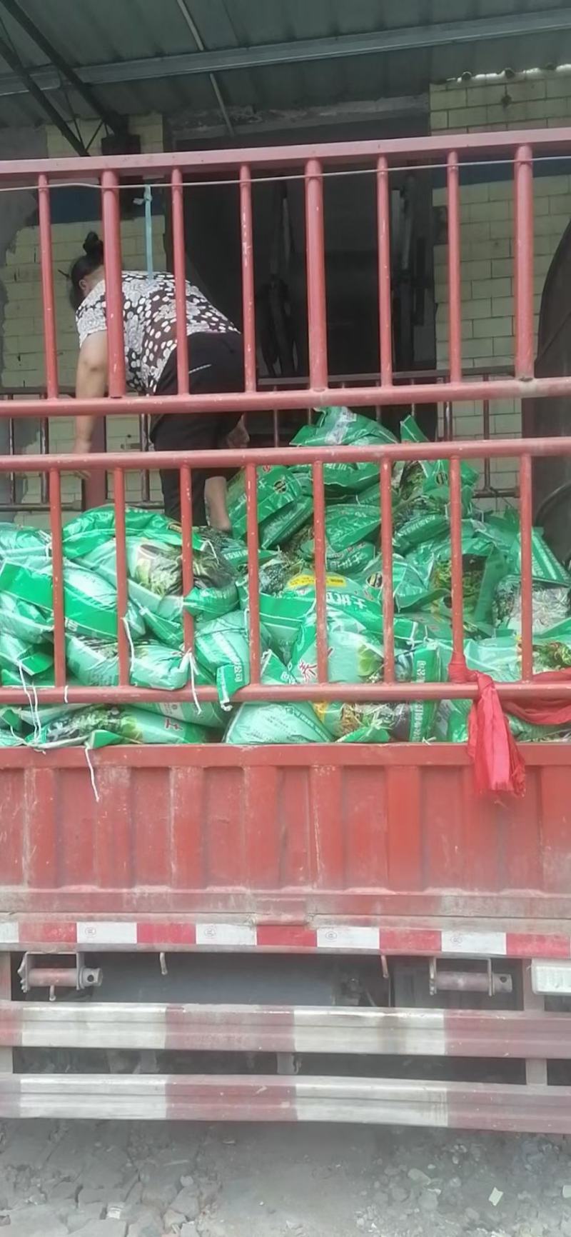 黑竹