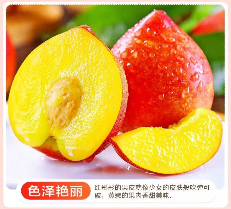 【精选】湖北襄阳枣阳油桃/毛桃产地一手货源现采现发一条龙