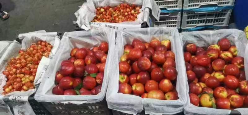 【精选】湖北襄阳枣阳油桃/毛桃产地一手货源现采现发一条龙