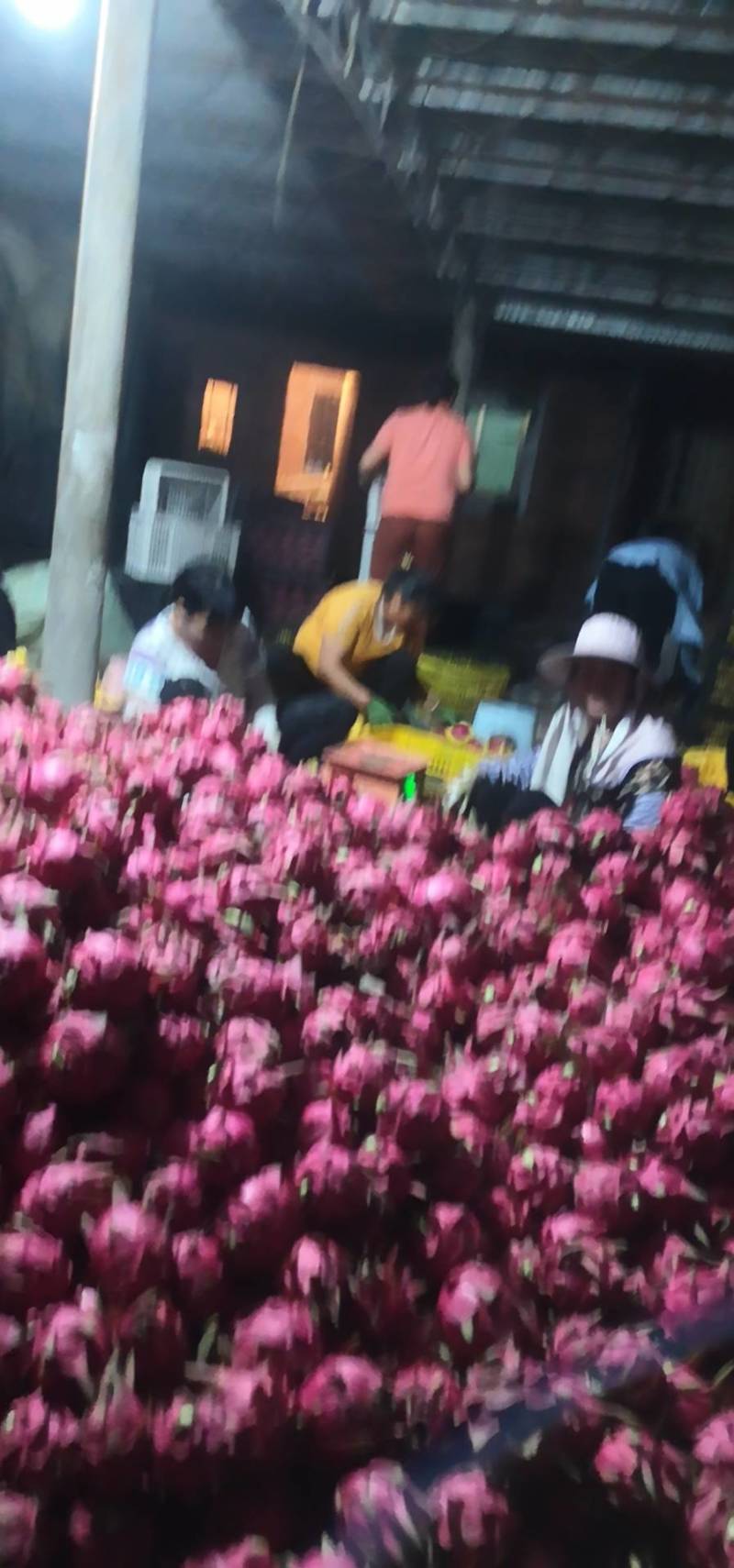 火龙果/产地发货/一条龙服务/欢迎采购长期合作
