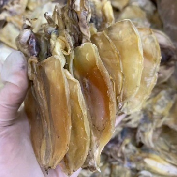 【推荐】广西北部湾天然晒制小墨鱼干,品质保证,诚信经营