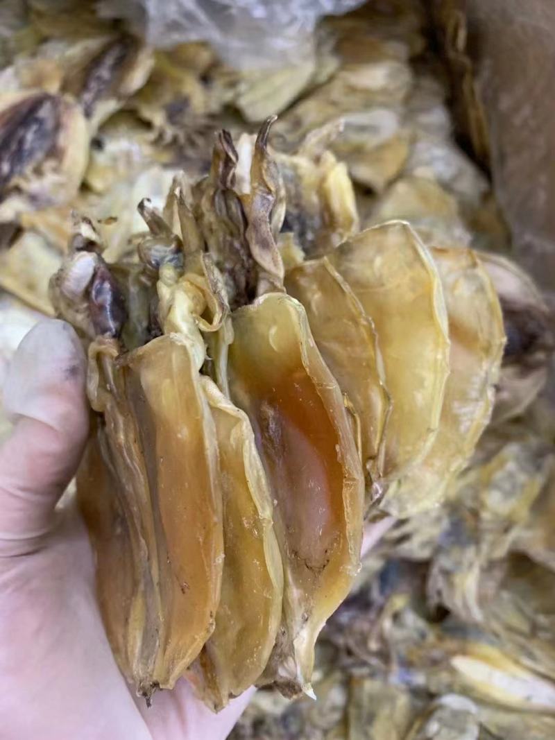 【推荐】广西北部湾天然晒制小墨鱼干，品质保证，诚信经营