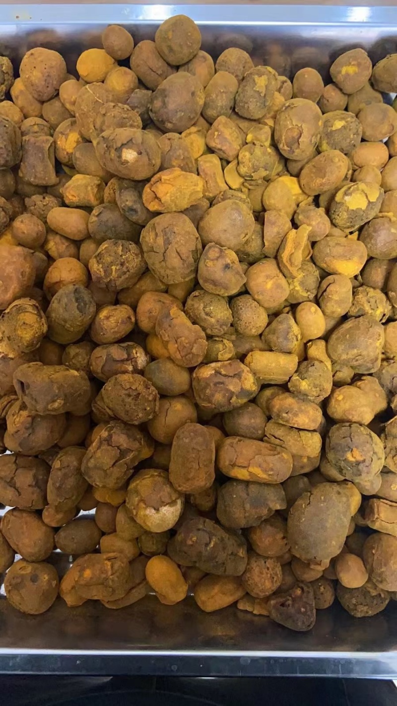 牛黄天然牛黄正宗天然牛胆黄粉牛结石包邮