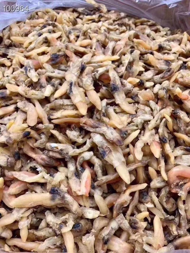 【推荐】广西北部湾大号蛏子干，品质保证，诚信经营