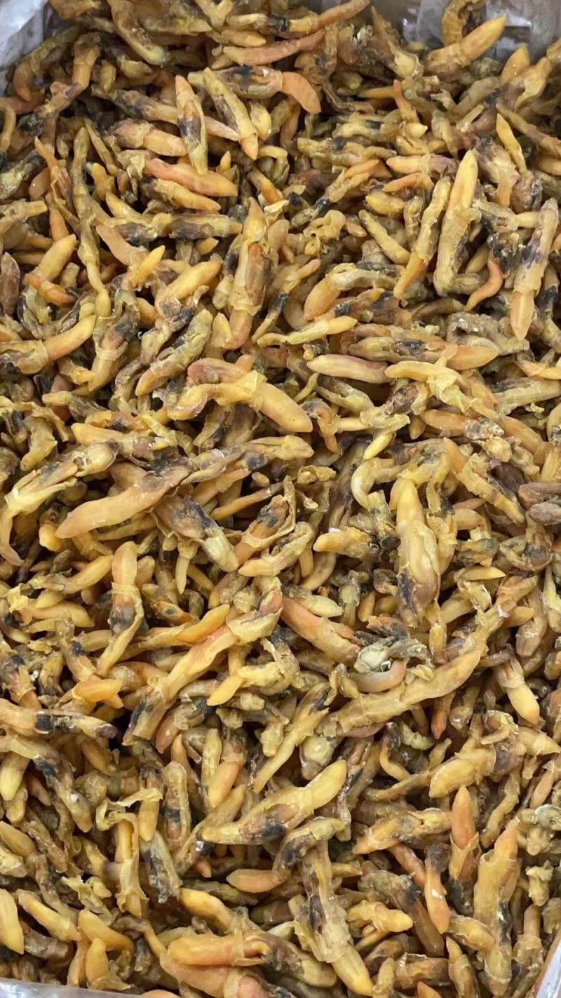 【推荐】广西北部湾大号蛏子干，品质保证，诚信经营