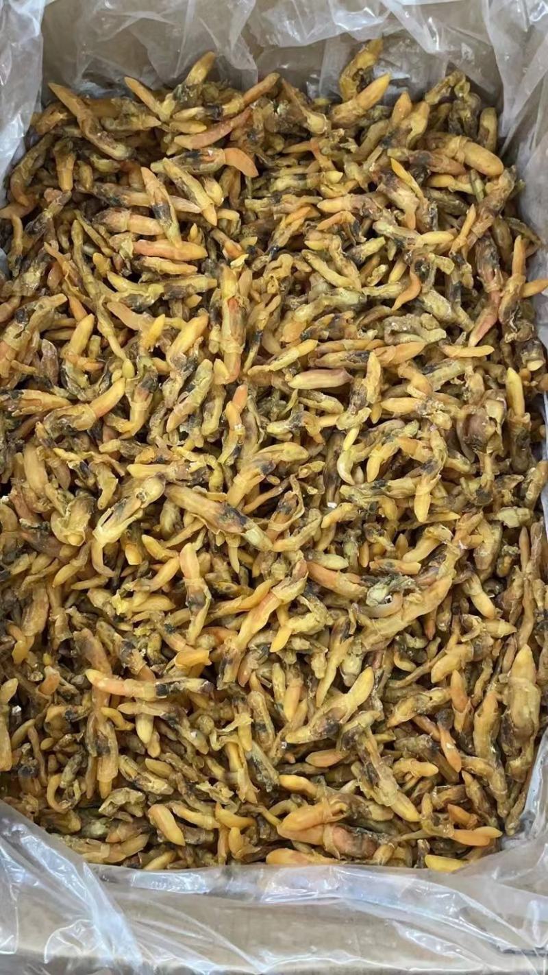 【推荐】广西北部湾大号蛏子干，品质保证，诚信经营