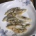 【推荐】广西北部湾大号蛏子干，品质保证，诚信经营