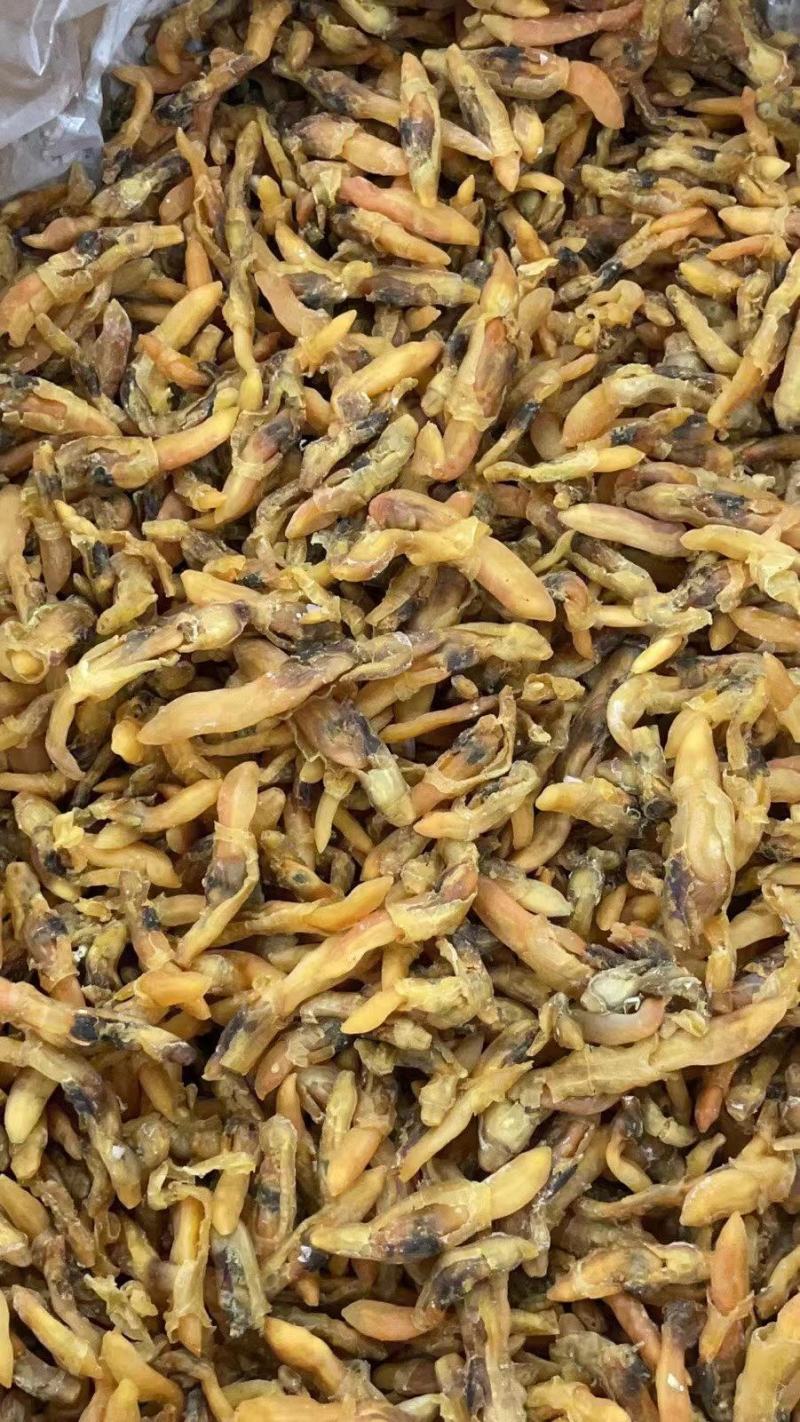 【推荐】广西北部湾大号蛏子干，品质保证，诚信经营