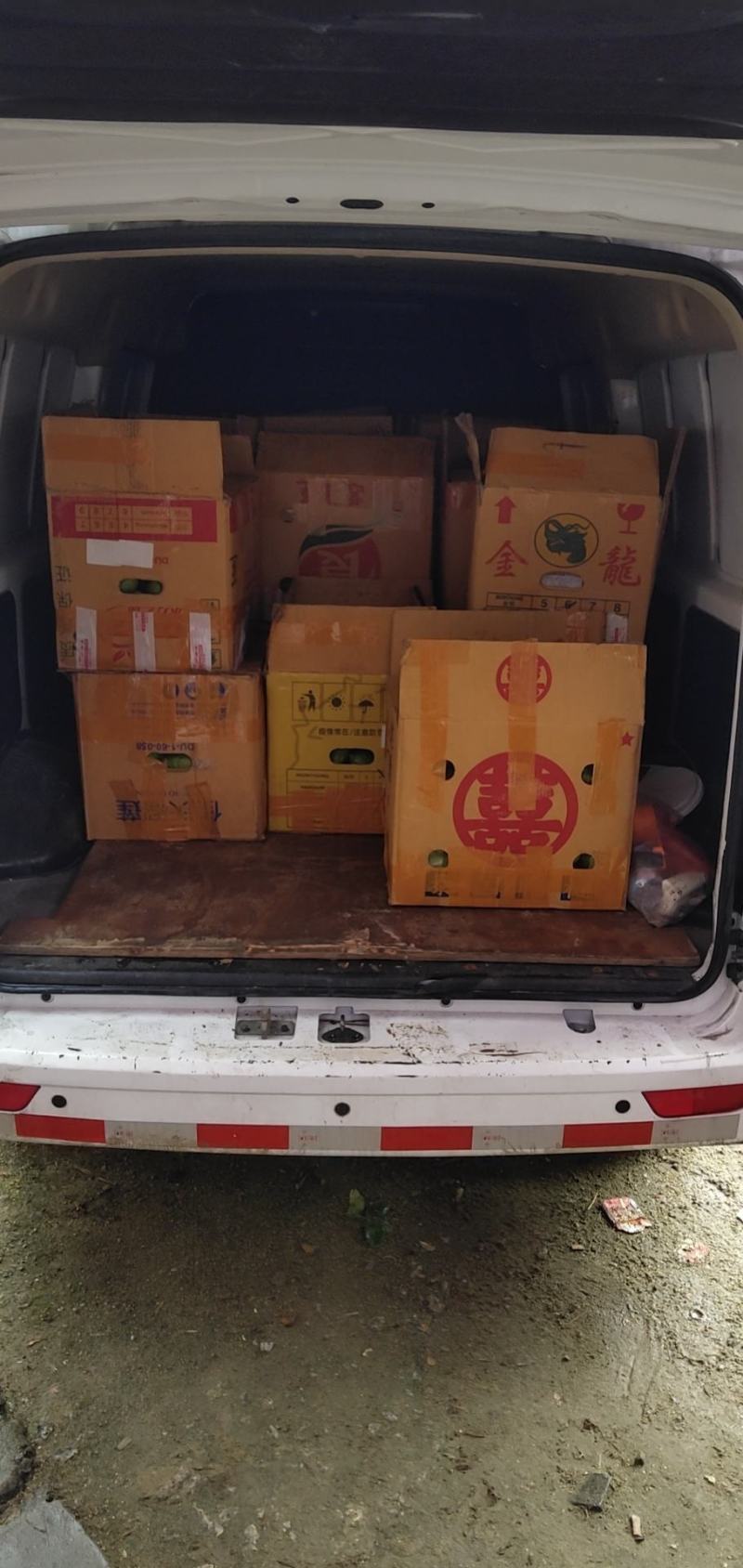 广东香水无籽柠檬一级果奶茶店专用，产地广东江门台山
