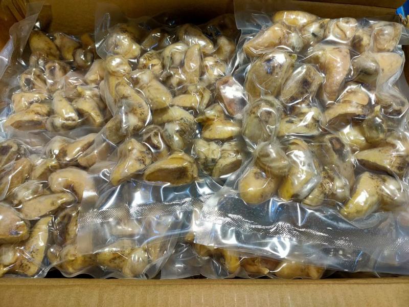主要做社区团购，主要处理各大工厂冻品尾货为主