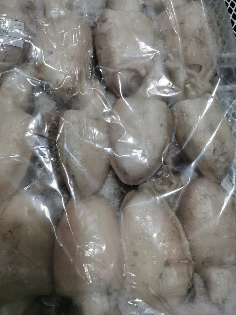 主要做社区团购，主要处理各大工厂冻品尾货为主