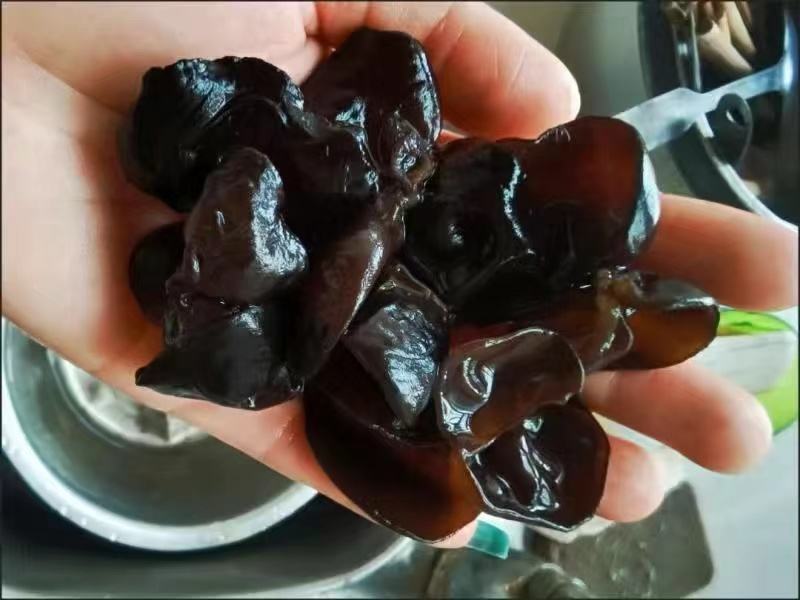 黑木耳与山楂的搭配图