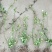 小叶扶芳藤胡芳藤爬藤绿化苗植物青叶蔓四季长青不落叶护坡