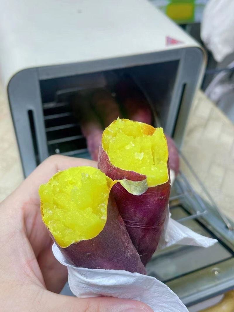 鸣门金时红薯苗，金时红薯苗红薯种，名门金引进日本红薯品种