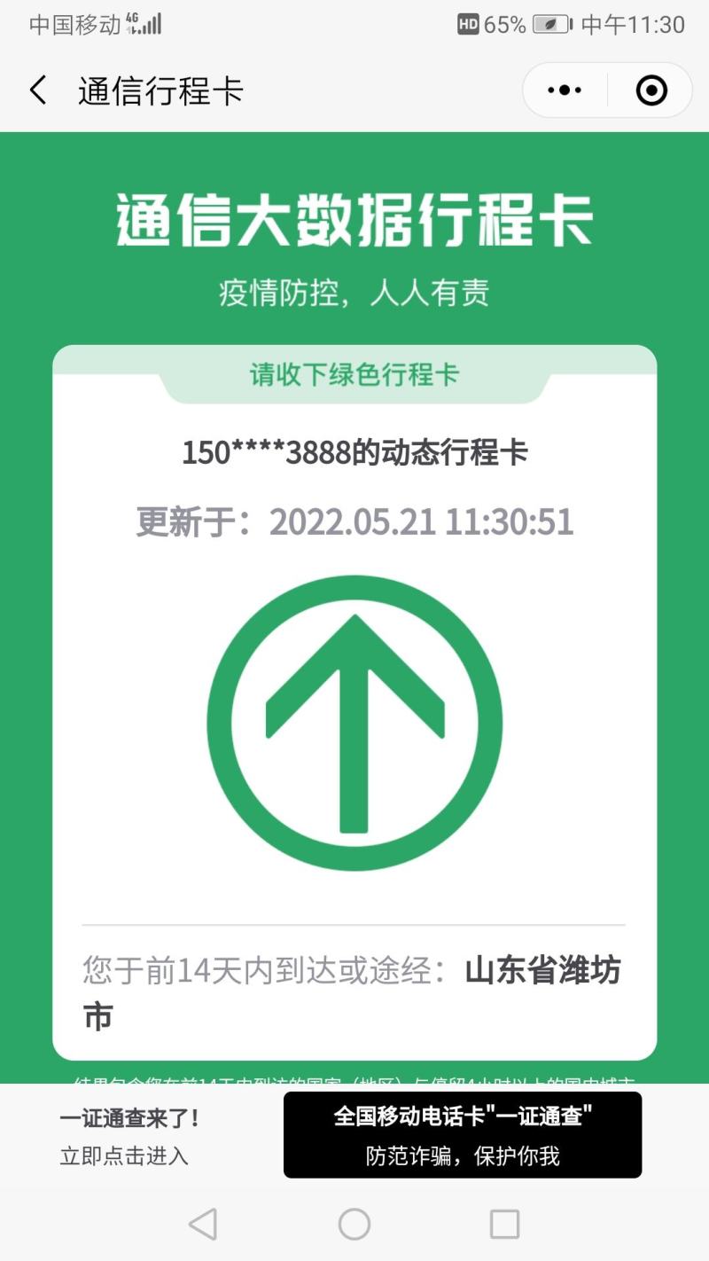 山东安丘供应优质大棚甜王西瓜