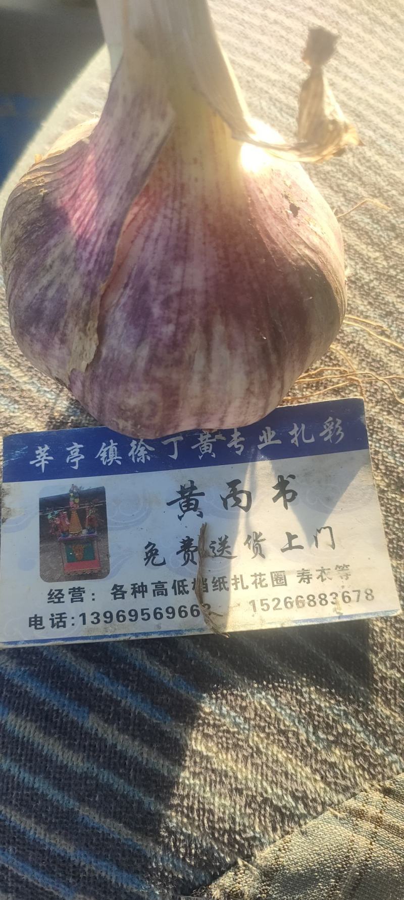 大蒜