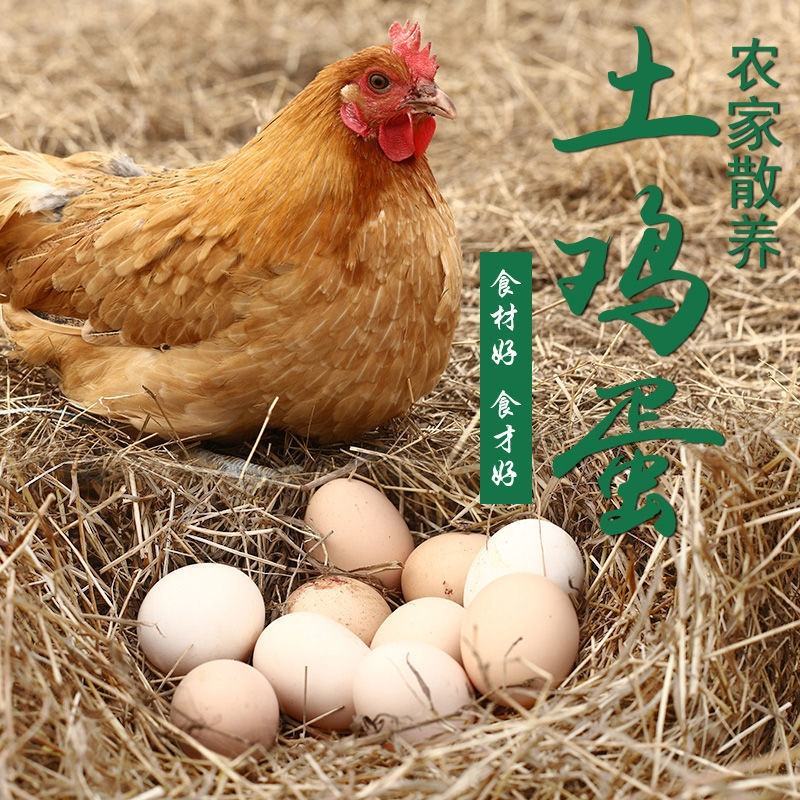 土鸡蛋恩施散养鸡土鸡蛋儿童孕妇谷物纯粮草鸡蛋