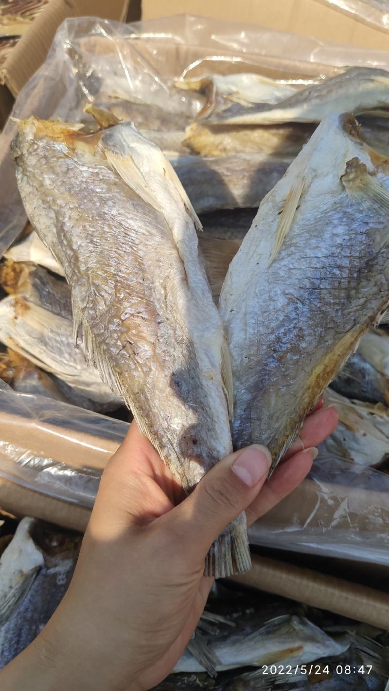 咸鱼黄花鱼大个头腌制咸鱼现货供应产地直发