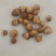 剑兰也叫（唐菖蒲）当年可观花，颜色齐全