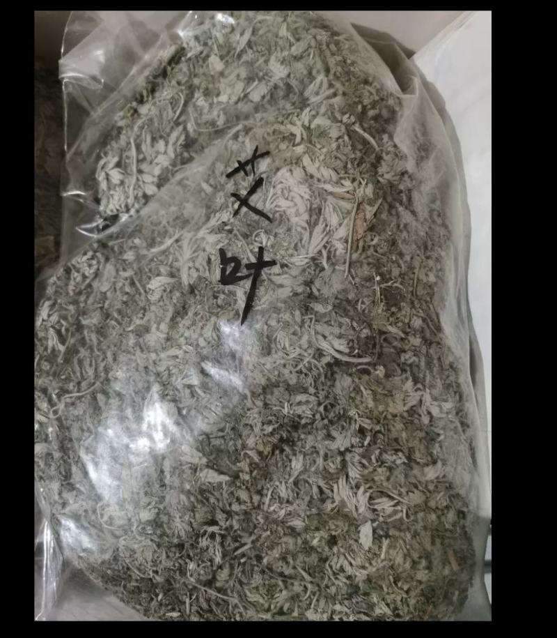 新鲜野生艾叶艾草中药材纯野生陈艾叶假一赔十