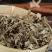 新鲜野生艾叶艾草中药材纯野生陈艾叶假一赔十