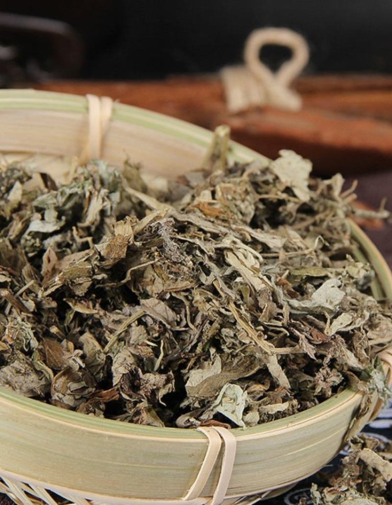 新鲜野生艾叶艾草中药材纯野生陈艾叶假一赔十