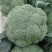 精品西蓝花🥦大量上市质量保证颜色美丽价格美丽