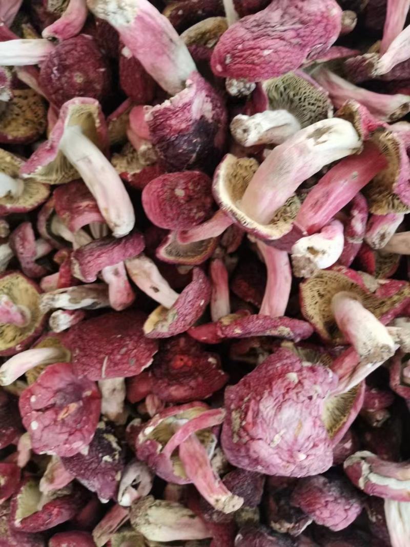 云南野生红菇，原生态，天然绿色食品，资源有限（顺丰包邮）