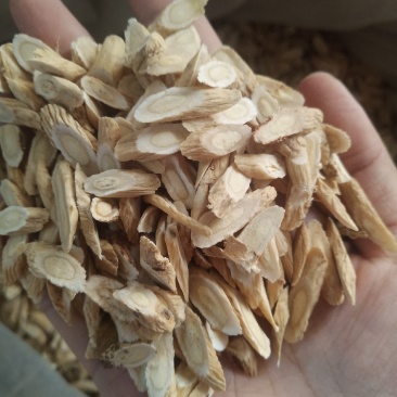 长期有货正规货源黄芪品质优良随时可聊现货供应