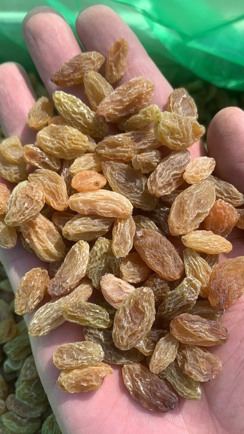 新疆葡萄干一级黄大颗粒一级黄中颗粒电商商超团购多多买菜